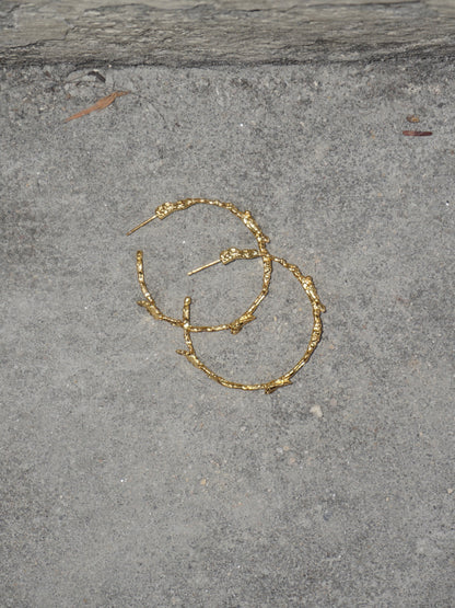 GOLD HOOPS WITH SHELL FINISH